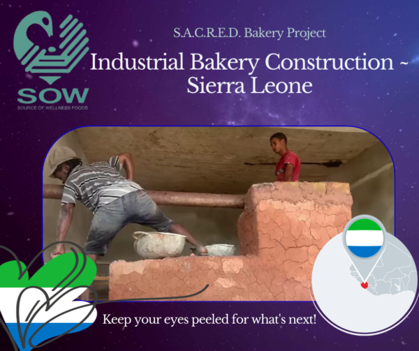 Two workmen, constructing an industrial sized earthen bakery, in Sierra Leone.